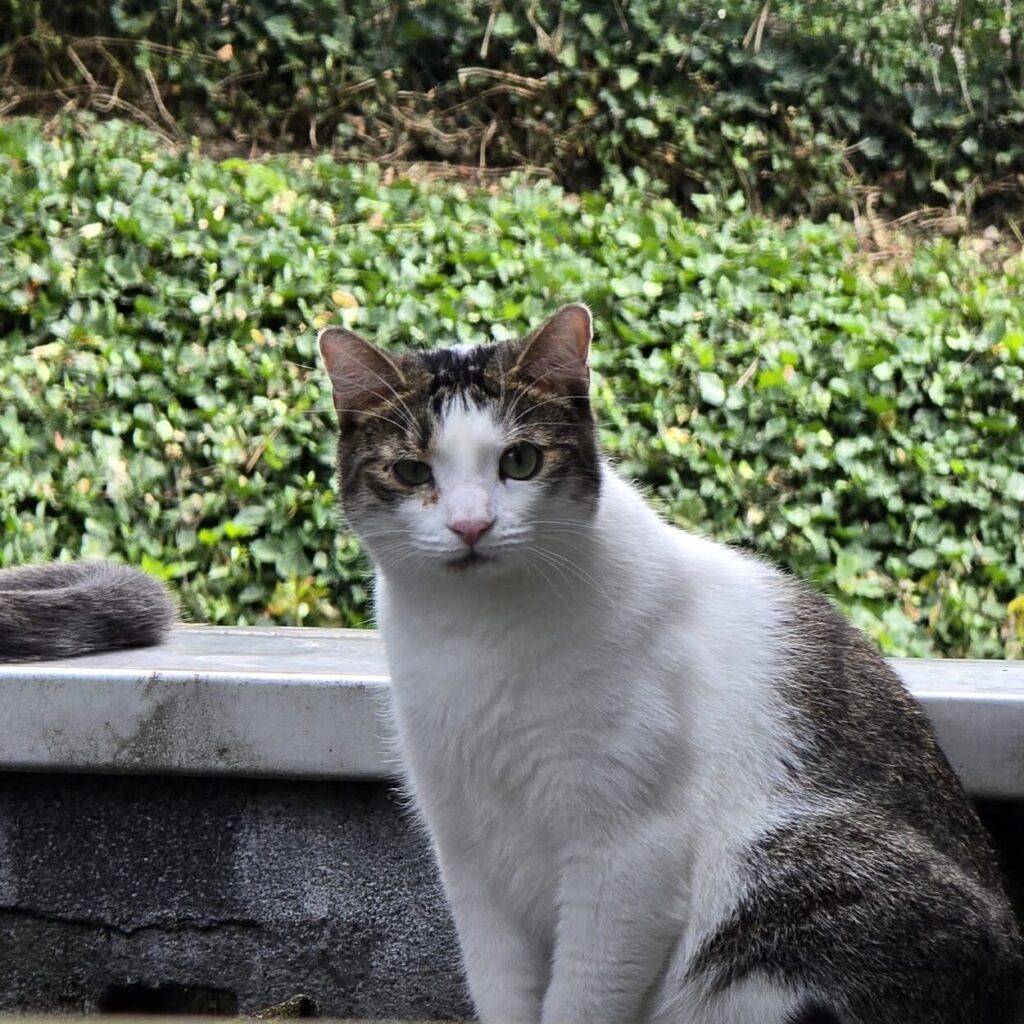 MiloAussen e1771422667499